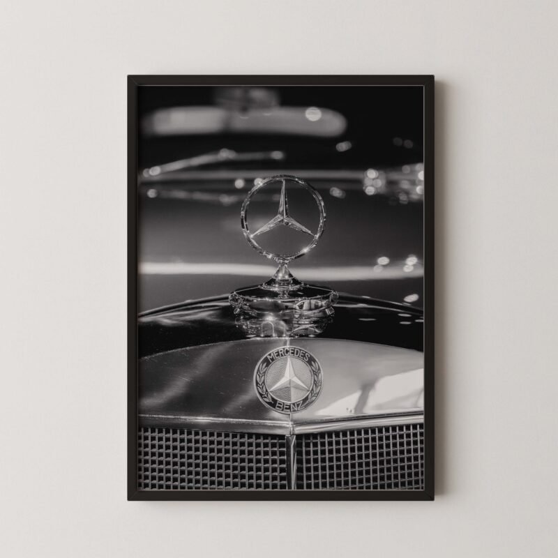 Classic Mercedes Emblem Print