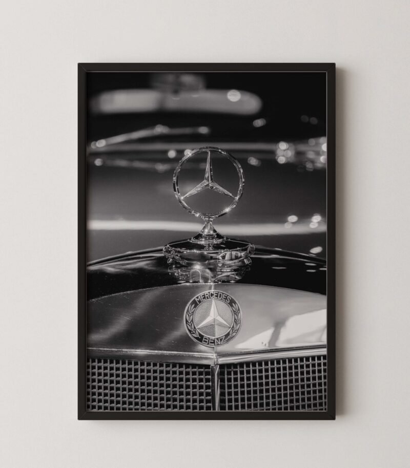 Classic Mercedes Emblem Print