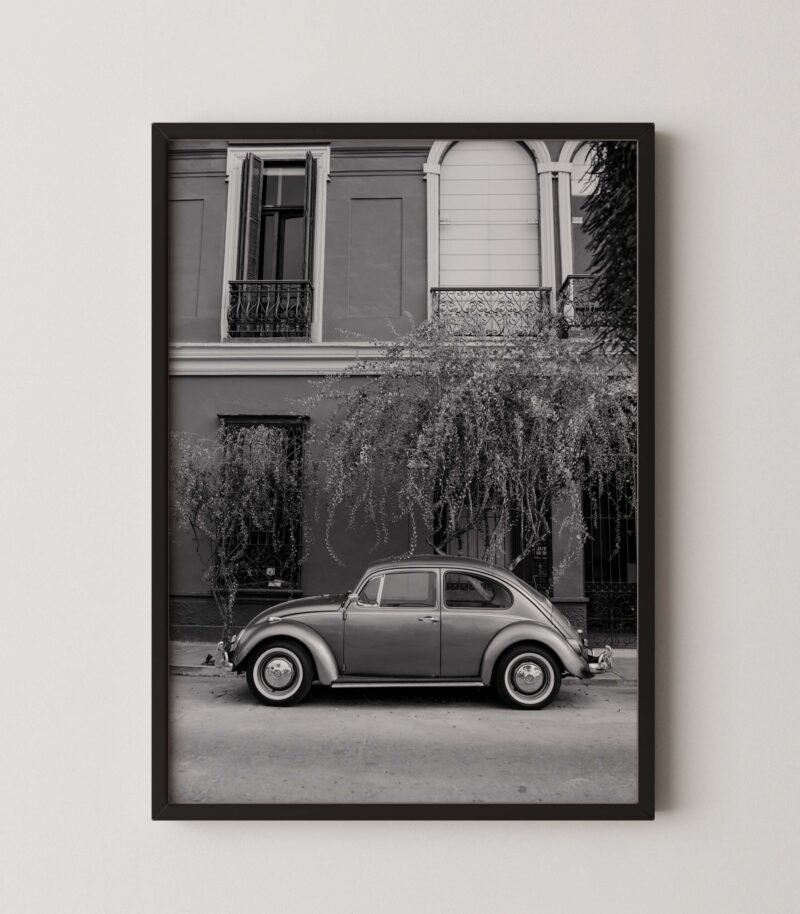 Vintage Beetle Photo Poster