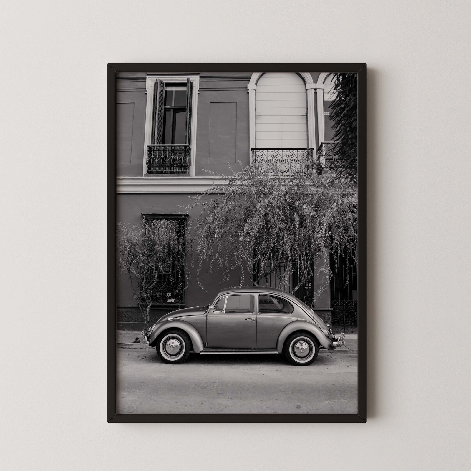 Vintage Beetle Photo Poster