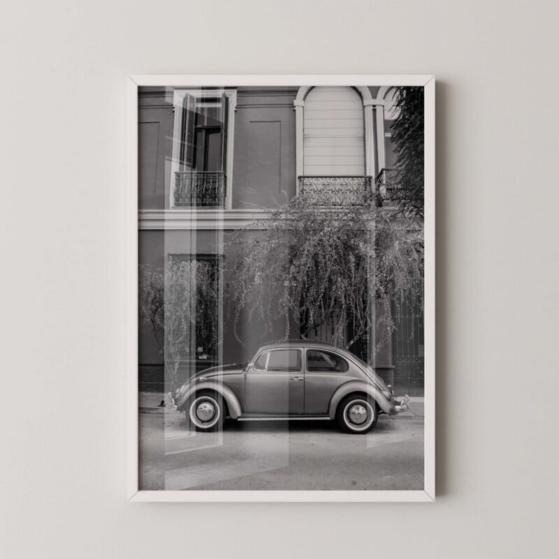 Vintage Beetle Photo Poster