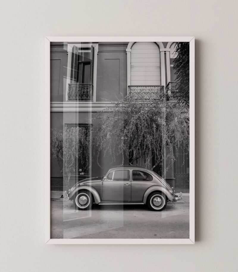 Vintage Beetle Photo Poster
